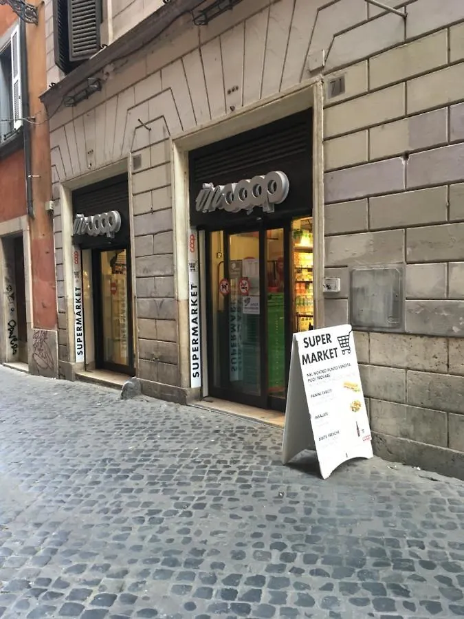 Domus Next Campo De'Fiori With Thermal Shower Rome Italy